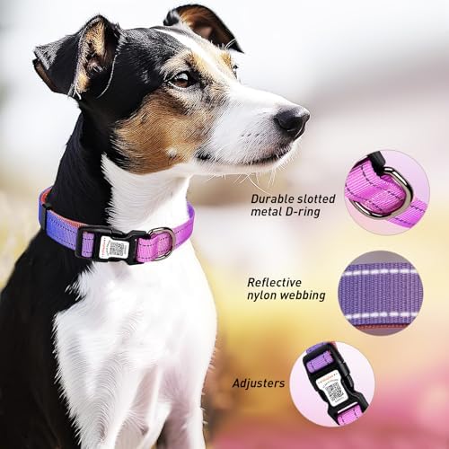 Personalized Dog Collar with QR Code Dog Tag, Blue&Rose Red M