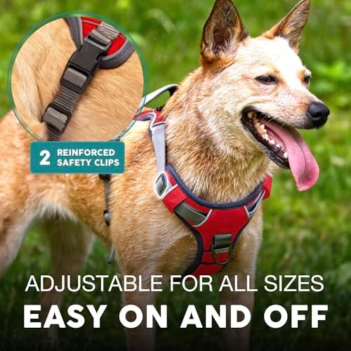 Embark No Pull Dog Harness, Reflective Adjustable Training Vest, No Choke