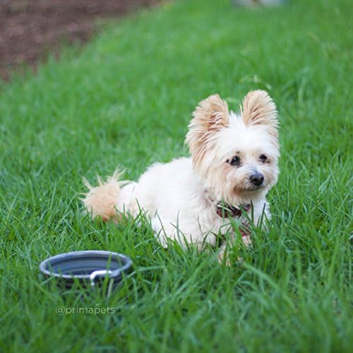 Prima Pet Collapsible Silicone Water Travel Bowl with Clip for Dog and Cat, Portable and Durable Pop-up Feeder for Convenient On-the-go Feeding - Size: Small (1.5 Cups) Grey -2 Pack