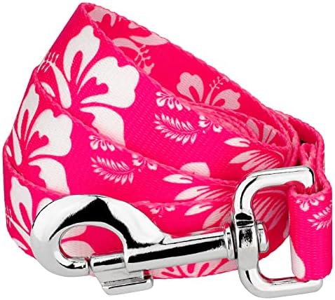 Country Brook Petz - Pink Hawaiian Everyday Dog Leash - Summer Breeze Collection Featuring Sunny Designs (6 Foot, 5/8 Inch Wide)
