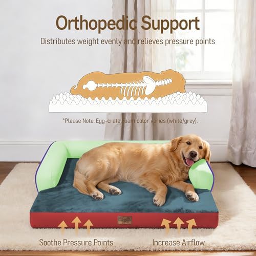 Comfort Expression Washable Dog Bed with Bolster for Medium to Large Dogs