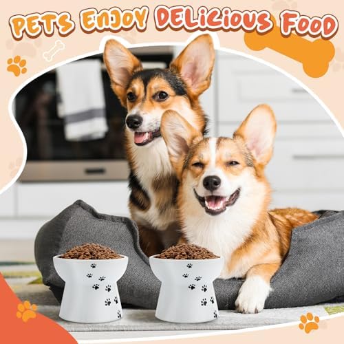 Teenyyou 2 Pack Elevated Dog Bowls for Small Dogs and Cats, 3.7" H x 4.8" W