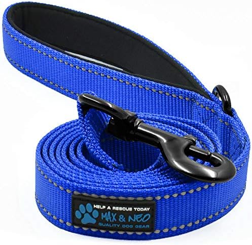 Max and Neo Reflective Nylon Dog Leash - 4 FT x 1 Inch Wide, Blue