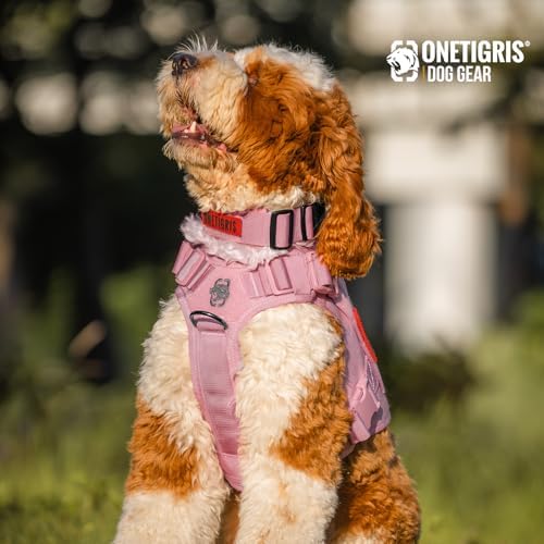 OneTigris Tough Tactical Dog Collar for Small Dogs with Handle Pink S
