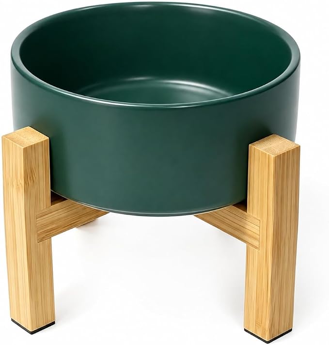 Raised Ceramic Cat Bowl - Cat Food Bowl with Bamboo Stand - Elevated Dog Food Dish for Puppies - Comfort Eating - 13.5 oz - 400 ml - Green
