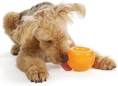 Outward Hound Snoop Interactive Treat Dispensing Dog Toy, Orange, 5"