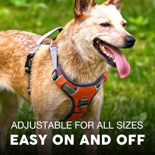 Embark No Pull Dog Harness, Reflective Adjustable Training Vest, No Choke