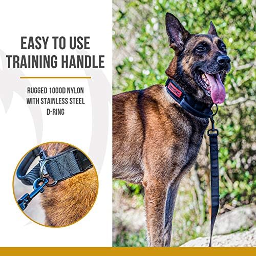 OneTigris Tough Tactical Dog Collar for Small Dogs with Handle Black S