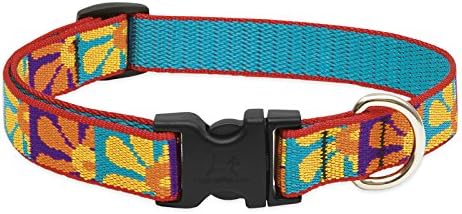 LupinePet Originals 3/4" Crazy Daisy 15-25" Adjustable Collar for Large Dogs