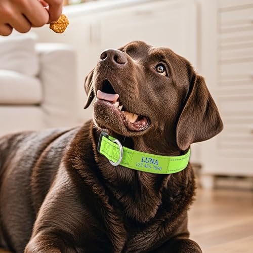 Personalized Dog Collars Custom with Name Phone Number | Reflective Collars Adjustable Buckles | Ultra Soft Neoprene Padded | Silent ID Tag Dog Collar for Small, Medium, Large Dogs (XS to XL)