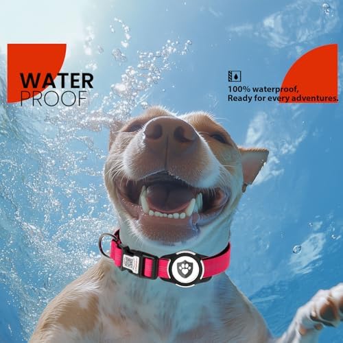 Waterproof AirTag Dog Collar with QR Code Dog Tag, Rose Red XS
