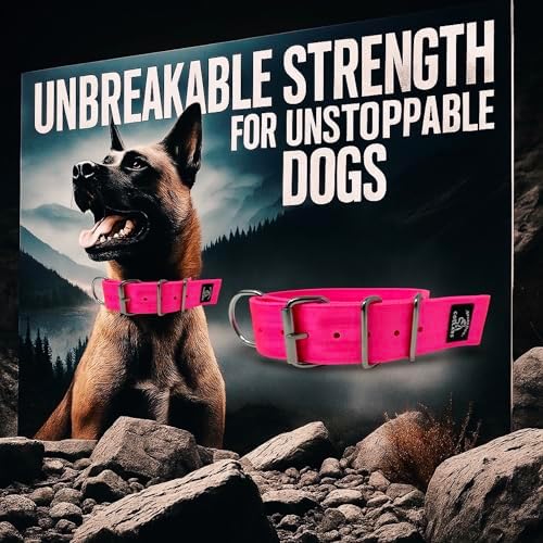 SparkDog 2” Working Dog Collar – Heavy Duty