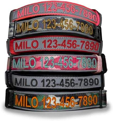 Pawtitas Personalized Reflective Padded Dog Collar with Name, Phone Number - Adjustable Medium Dog Collar in Black