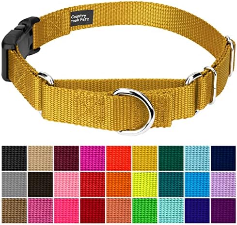 Martingale Dog Collar - Heavy Duty Nylon Adjustable Martingale Dog Collar with Plastic Buckle for Small Medium Large Breeds - 30+ Colors (1 Inch, Extra Large, Gold)