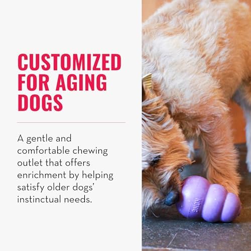 KONG Senior, Gentle Natural Rubber Toy, for Small Dogs (Pack of 2)