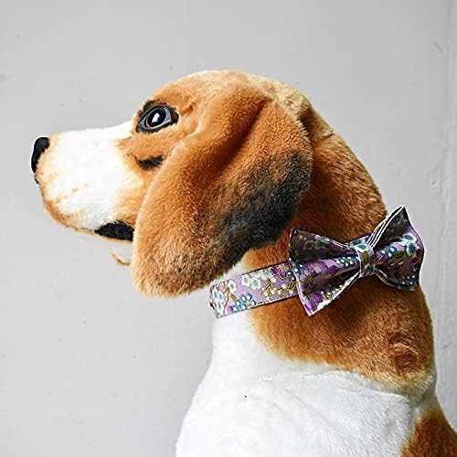 Custom Dog Collar with Names and Phone Number Engraved, Puppy Tags Personalized for Small Medium Large Pets