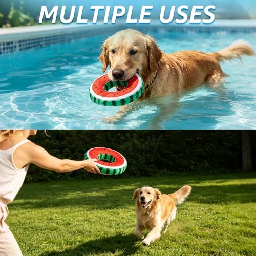 SCENEREAL Floating Dog Pool Toys for Water Fetch, 2 Pack Squeaky Dog Toys for Training, Interactive Summer Outdoor, Whale & Donut Shape Pet Chew Toy for Large Small Medium Dogs