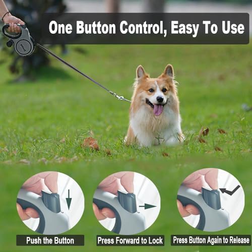 Retractable Dog Leash,16ft Retractable Lead with Bungee Leads for 2 Dogs,Double Leash with Dog Safety Harness Buckle, Extendable Lead 5m for Medium Large Dogs (Gray, 5m)