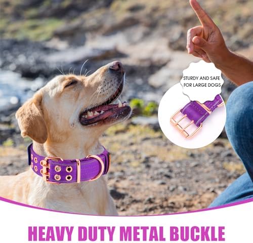 Heavy Duty Dog Collar for Medium Large Dogs,Purple,Medium