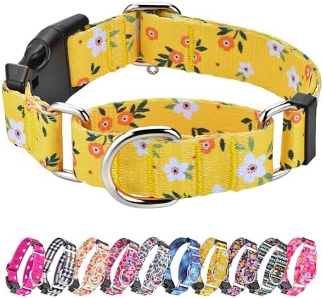 Hikiko Martingale Collar for Dogs with Special Pattern,Adjustable,L