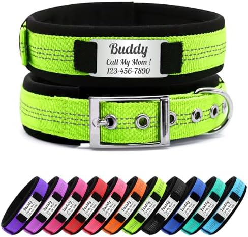 Personalized Nylon Dog Collar with Name Tag (Green, S)