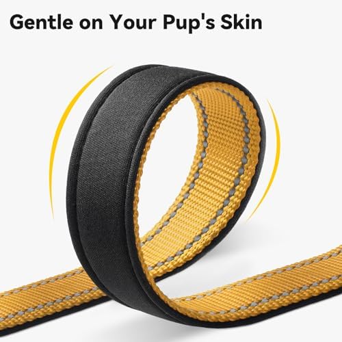 Joytale Personalized Dog Collar with Name Plate Built-in for XLarge Dogs