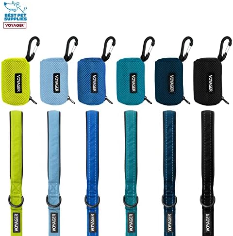 Best Pet Supplies Dog Poop Bag Holder Leash Attachment with Reusable Dispenser for Travel, Walking, Park, and Outdoor Use, Durable with Clip-On - Turquoise, Pack of 2, Mesh Dispenser w/30 Bags
