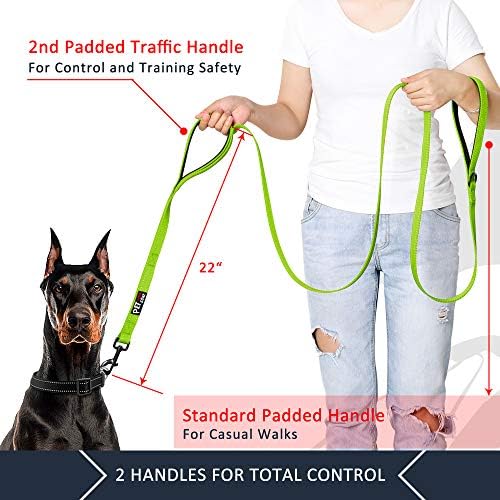 Plutus Pet Double Handle Dog Leash, 6 FT Long, for Medium Large Dogs