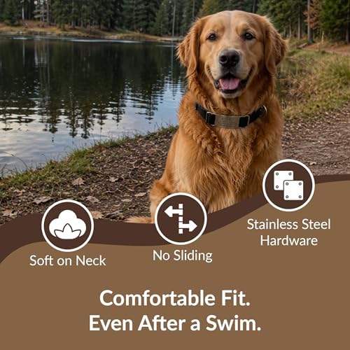 dogIDs Personalized Quick Release Waterprooft ScruffTag Dog Collar - Built-in Custom Laser Engraved Nameplate, Odor Resistant - Black, 1 in x 16-23 in (Fits Neck Sizes: 16-23 in)