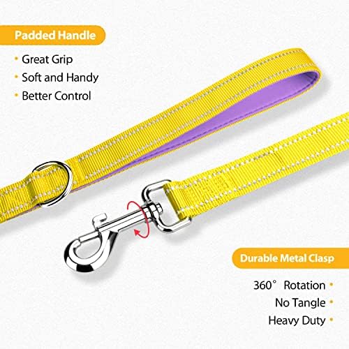 PHOEPET 5 Feet Dog Leash - Dual-Side Reflective - Soft Padded Handle