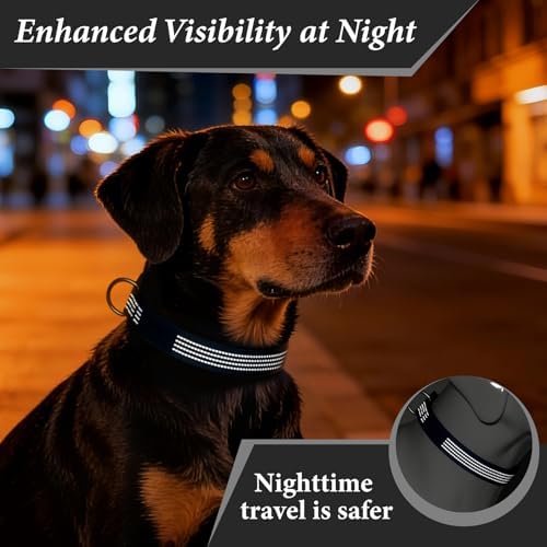 Personalized Dog Collars with Name & Phone Number, Neoprene Padded