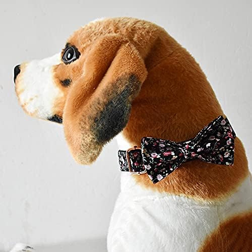 Custom Dog Collar with Names and Phone Number Engraved, Puppy Tags Personalized for Small Medium Large Pets