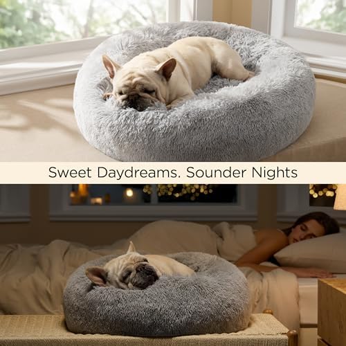 Bedsure Calming Cat Beds Donut Round Washable Kitten Bed,20 inches