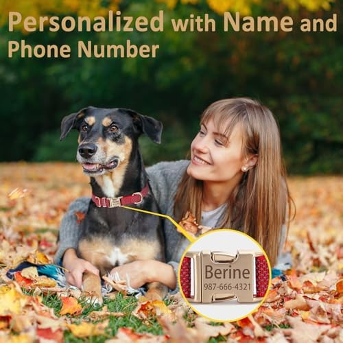 Personalized Reflective Dog Collar
