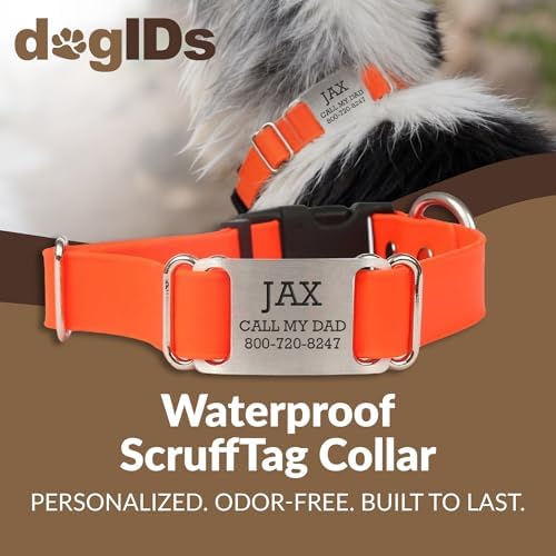 dogIDs Personalized Quick Release Waterprooft ScruffTag Dog Collar - Built-in Custom Laser Engraved Nameplate, Odor Resistant - Orange, 1 in x 13-18 in (Fits Neck Sizes: 13-18 in)