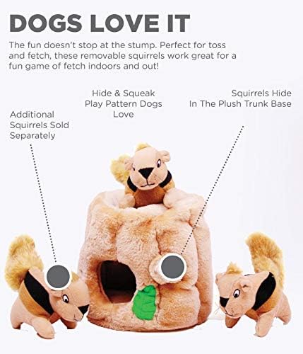 Outward Hound Hide-A-Squirrel Plush Squeaky Dog Toy, Medium, 6.5" x 6.5"