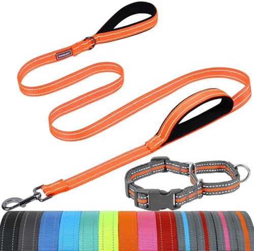 VIVAGLORY Double Handle Dog Leash Twingrip, 5ft x 1in, M2, Orange Grey