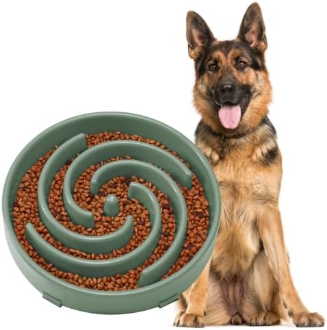 JASGOOD Slow Feeder Dogs Bowl for Large Medium Dogs,Anti-Gulping Pet Slower Food Feeding Bowls