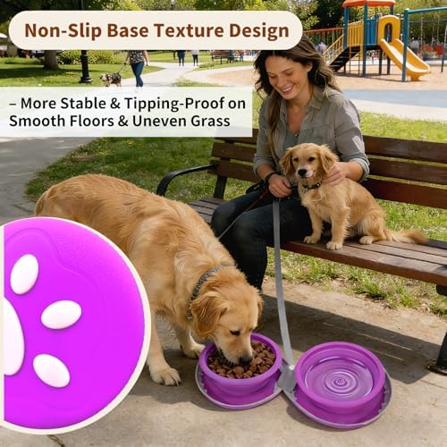2-in-1 Collapsible Dog Travel Bowl Portable Silicone Carabiner