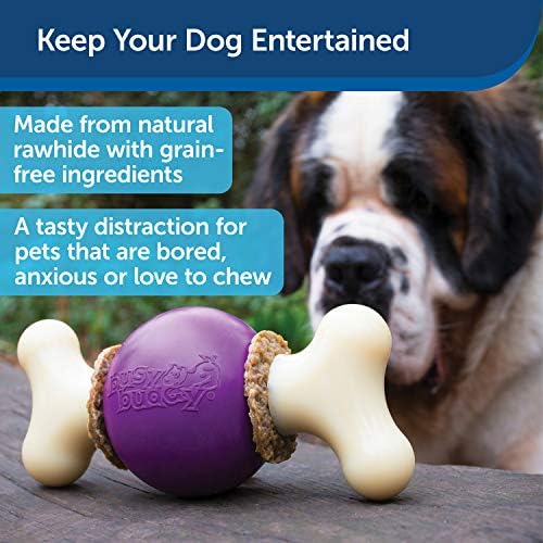 PetSafe Busy Buddy Bouncy Bone Treat Holding Dog Chew Toy, Medium/Large
