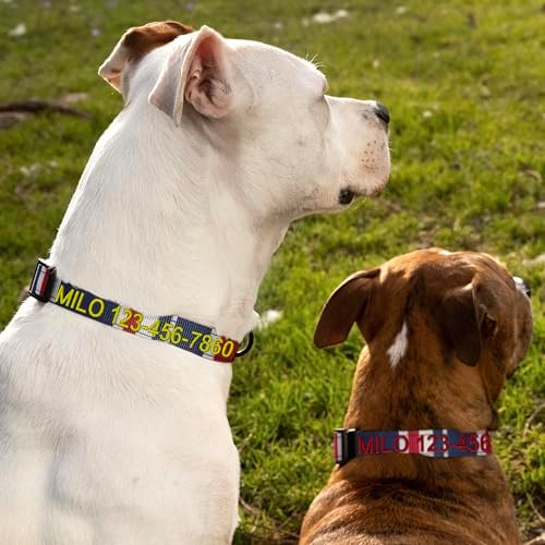 Pawtitas Personalized Dog Collar Extra Small Dog Collar Embroider Name Phone Number Puppy Collar Adjustable Customized Collar for Extra Small Dogs Breeds Multicolor Dog Collar
