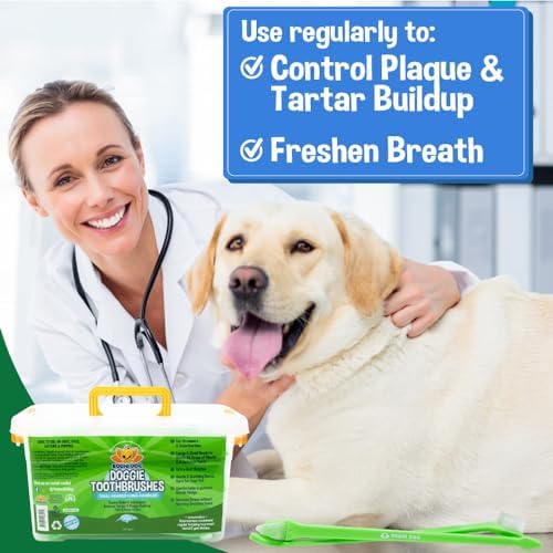 Bodhi Dog Dual-Headed Toothbrush for Dogs & Cats - Soft Bristles for Gentle Pet Dental Care - Puppy & Adult Teeth Cleaning - Easy-to-Use Design for Healthy Gums & Fresh Breath (100 Count) (Pack of 2)