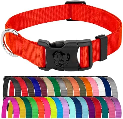 Country Brook Petz - Everyday Nylon Dog Collar for Large, Medium, and Small Dogs and Puppies - for Everyday Use in 30+ Colors (Large, 1 Inch Wide, Neon Orange)