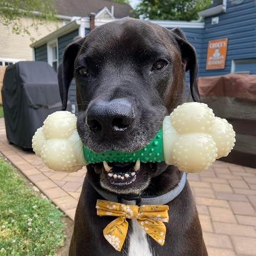 Nylabone Power Chew Double Action Barbell Bone Dog Chew Toy, X-Large
