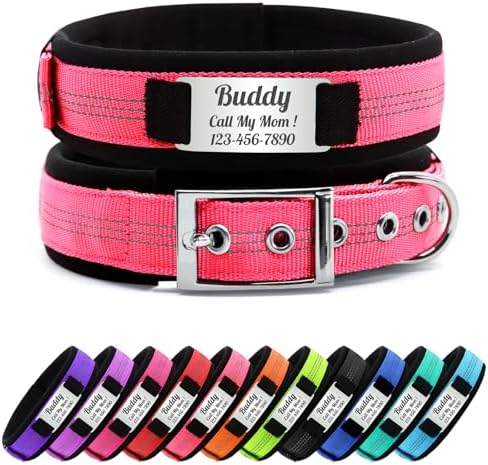 Personalized Nylon Dog Collar with Name Tag (Coral Pink, M)