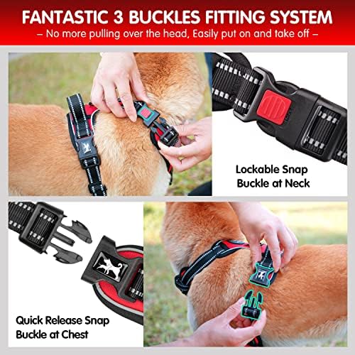 PoyPet Dog Harness and Leash Set, No Pull Vest with Front Clip and Handle