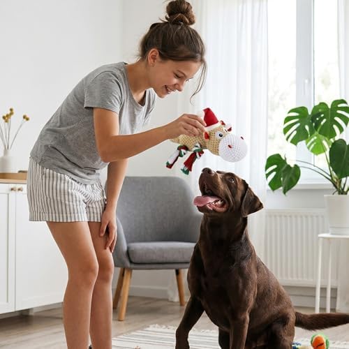 Dog Toys for Small Medium Dogs - Squeaky Hippo Plush Dog Toys with Crinkle Paper, Cotton Ropes for Tug Games
