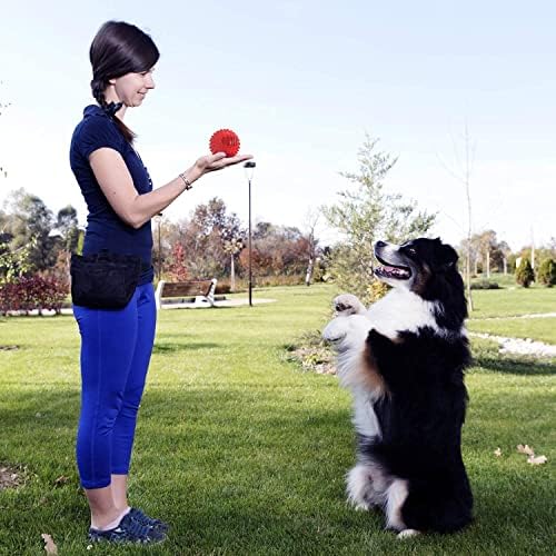 petizer 3" Squeaky Dog Balls for Aggressive Chewers, Durable Interactive Spiky Ball for Teething, Indestructible Rubber Dog Chew Toys, Tough Pet Toys for Small, Medium & Large Breeds, Red