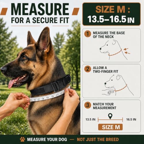 Tactical Dog Collar with Handle, Heavy Duty Nylon for Medium Dogs