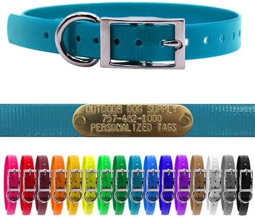 Light Weight Waterproof D-Ring Dog Collar w Custom Name Tag, Teal